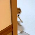『なんの音だろう…？…