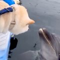 船の上で『犬とイル…