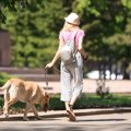 犬が散歩中に言うこ…
