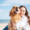 犬が『尊敬』してい…