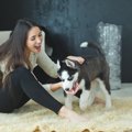 犬の散歩代わりにな…