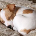 可愛くてつい眺めち…