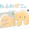 ふわふわぽこ。【第1…