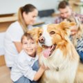 犬を飼うとできなく…