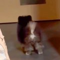 生後3ヶ月の赤ちゃん…