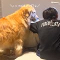 『息子が珍しく勉強…