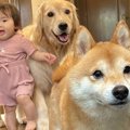 『お出かけできる』…