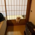体の成長を悟った？…