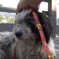 聞いてたのと違う！…