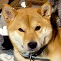 テトリスなら消える……