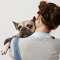 愛犬が飼い主にイヤ…