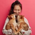 『犬は女性の方が好…