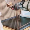 逆だよ！逆！『給水…
