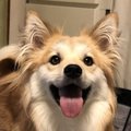 幸せオーラに満ちた…