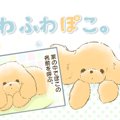 ふわふわぽこ。【第4…