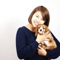 犬とマンション（集…