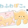 ふわふわぽこ。【第1…