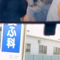 車で動物病院にやっ…