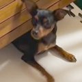 赤ちゃんの側にどう…