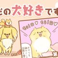 ただの犬好きです。…