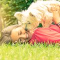 犬が飼い主の上に乗…