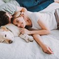 犬が飼い主にタッチ…