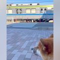 毎日のように電車を…