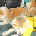 軽自動車の後部座席…