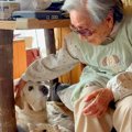 引退した元盲導犬が…