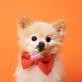 研究からわかった、…