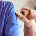 おててでママの腕を…