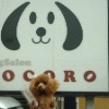 ドッグサロン「Dogsa…
