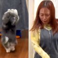 犬嫌いな女性が『人…