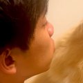 おしっこ失敗した犬…