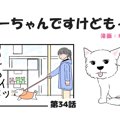ちーちゃんですけど…