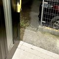 『100分間のお散歩』…
