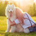 愛犬に『大好き♡』を…