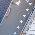 『ひとりで玄関を出…