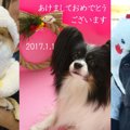 明けましておめでと…