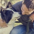 大型犬と小型犬のし…