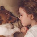 犬が朝に飼い主を起…