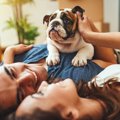 犬が飼い主さんを『…