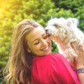 犬が飼い主の髪の毛…