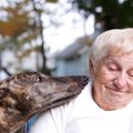 犬が久しぶりに会っ…