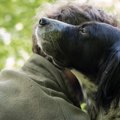 PTSDセラピー犬を訓…