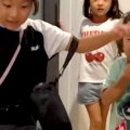 犬が亡くなり毎日泣…