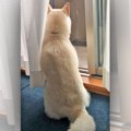 寝坊してごめんっ！…