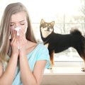 犬アレルギーでも飼…