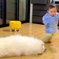 よちよち歩きをする…
