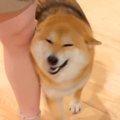 3人のお客さんを家に…
